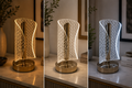 Acrylic Rechargeable Lamp Viral Vault